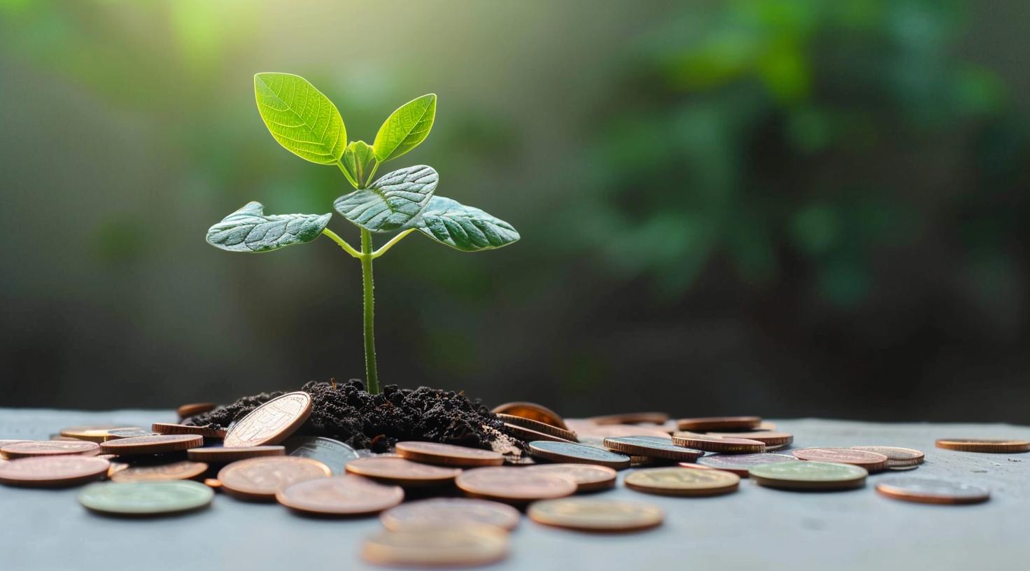 Effektive Strategien zur Finanzplanung